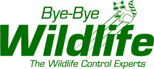 Bye Bye Wildlife